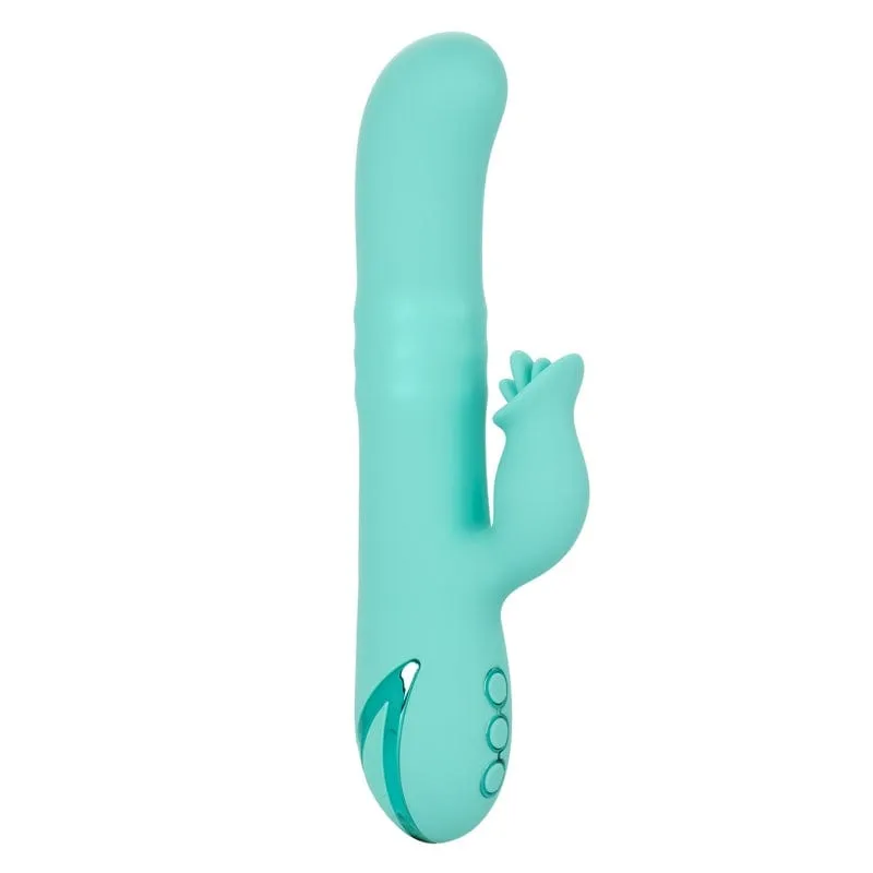 Calexotics California Dreaming Bel Air Bombshell