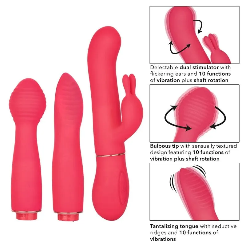 Calexotics In Touch Dynamic Trio